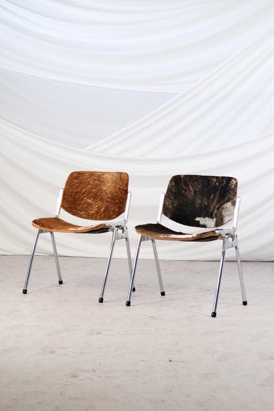 DSC 106 Chair by Giancarlo Piretti for Castelli